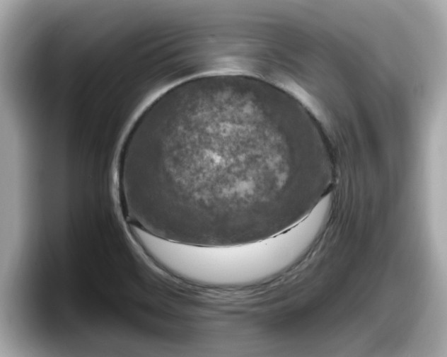 X0000098081468200804110933