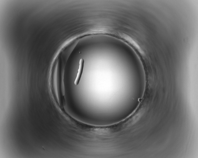 X0000098081469200804110932