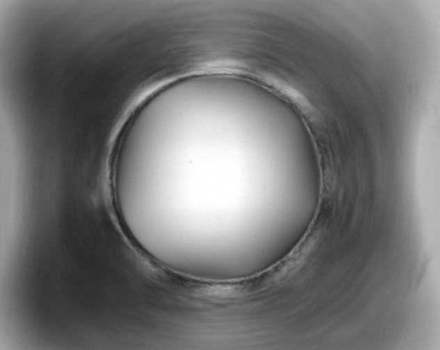 X0000098081470200804110932