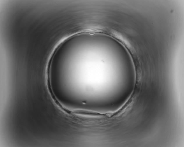 X0000098081471200804110932