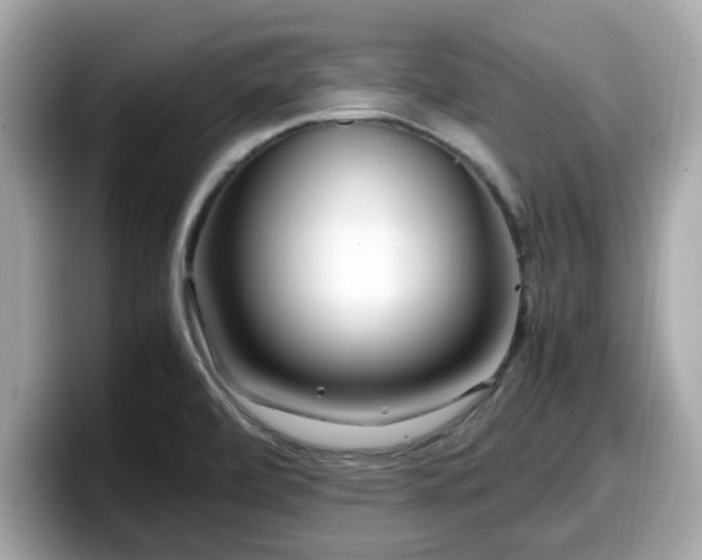 X0000098081472200804110932