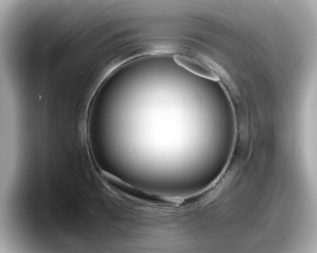 X0000098081473200804110932
