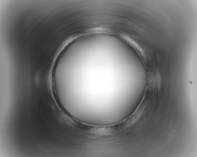 X0000098081474200804110932