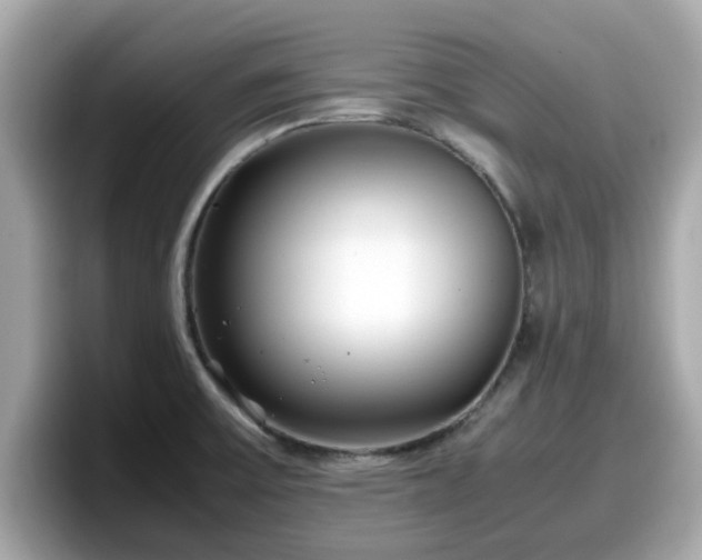 X0000098081475200804110932