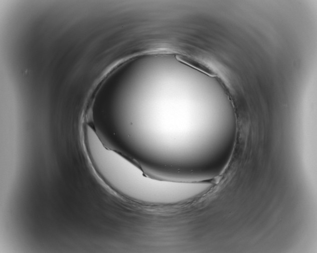 X0000098081476200804110932