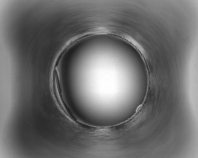 X0000098081477200804110932