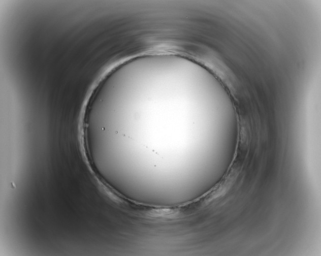 X0000098081478200804110932