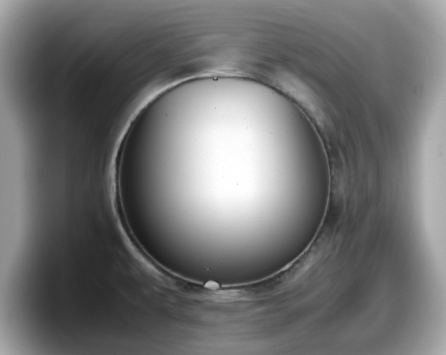 X0000098081479200804110932
