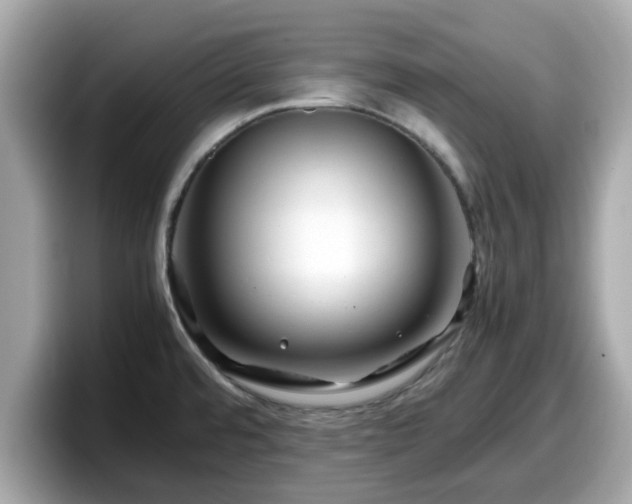 X0000098081480200804110932