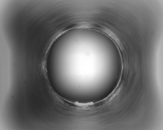 X0000098081481200804110932