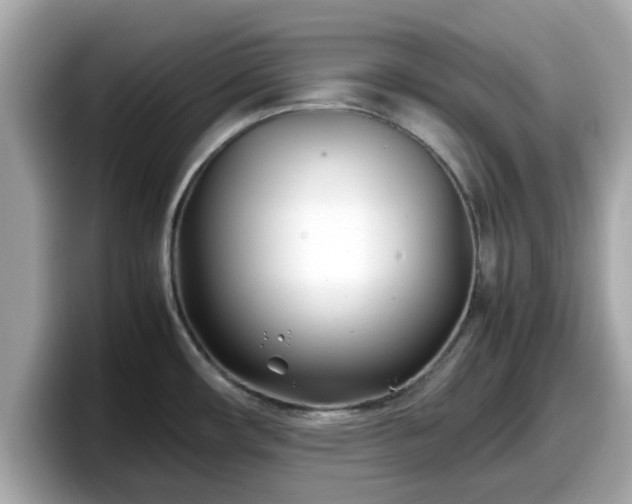 X0000098081482200804110932