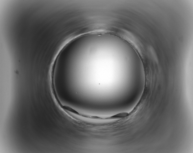 X0000098081483200804110932