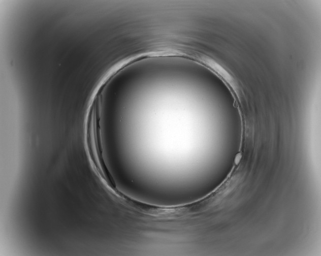 X0000098081485200804110932