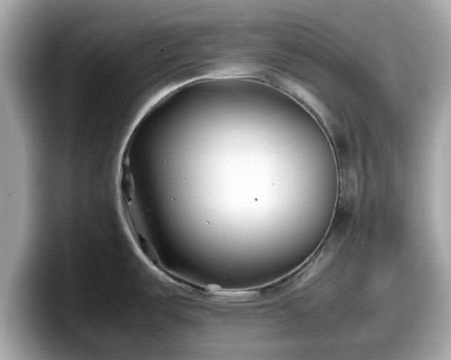 X0000098081487200804110932