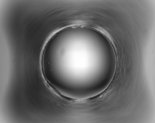 X0000098081488200804110932