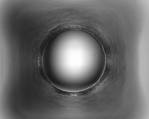 X0000098081490200804110932
