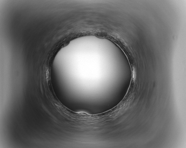 X0000098081492200804110932