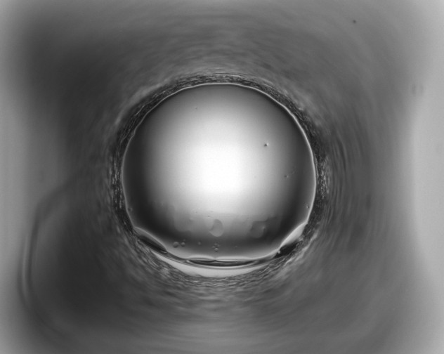X0000098081494200804110932