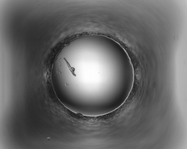 X0000098081495200804110932