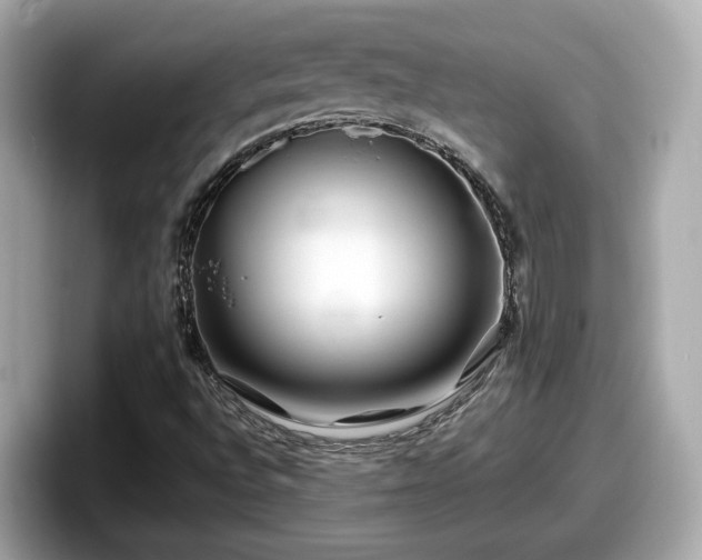 X0000098081496200804110932