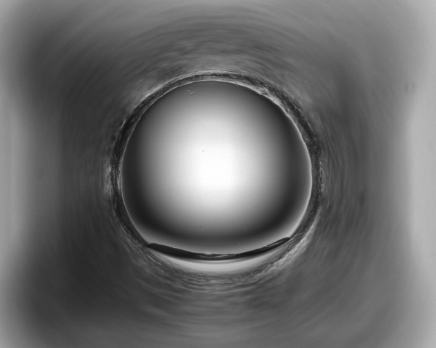 X0000098081497200804110932