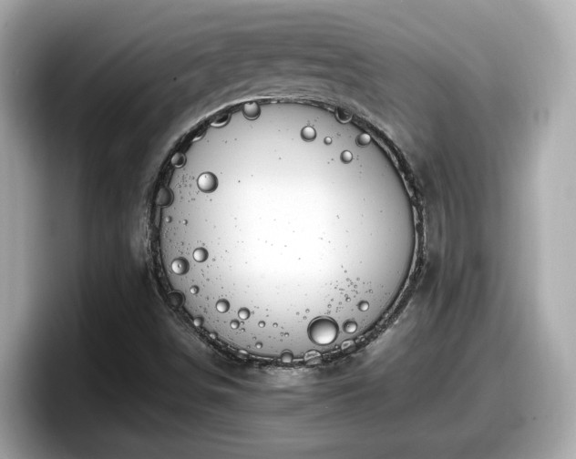 X0000098081498200804110932
