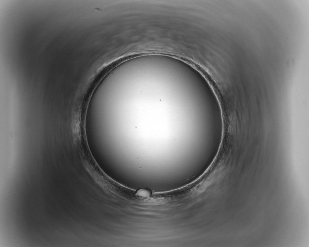 X0000098081499200804110932