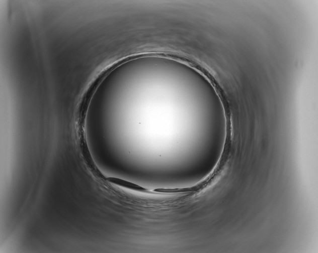 X0000098081501200804110932