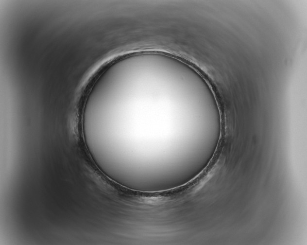 X0000098081502200804110932
