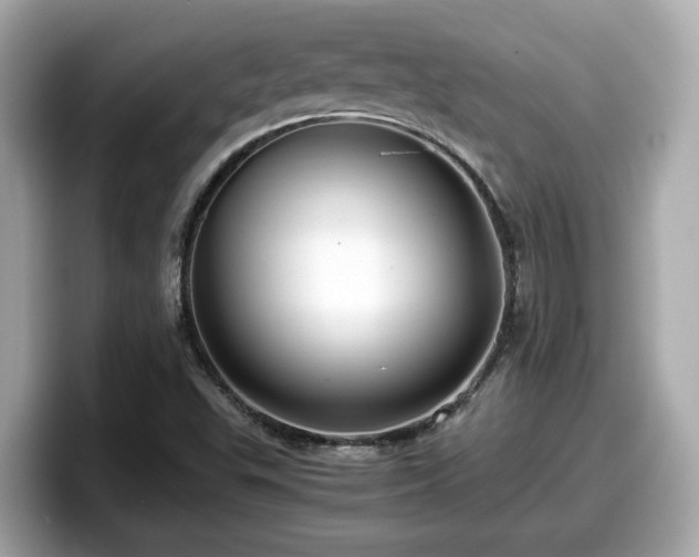 X0000098081503200804110932