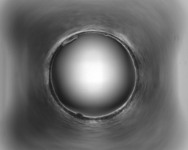 X0000098081504200804110932