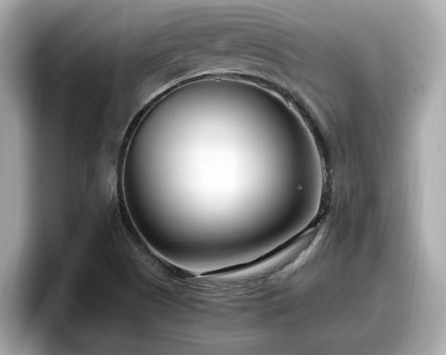 X0000098081505200804110932