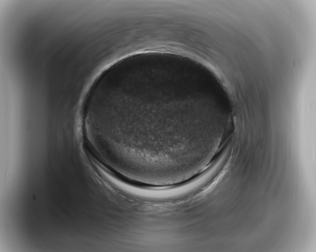 X0000098081506200804110932
