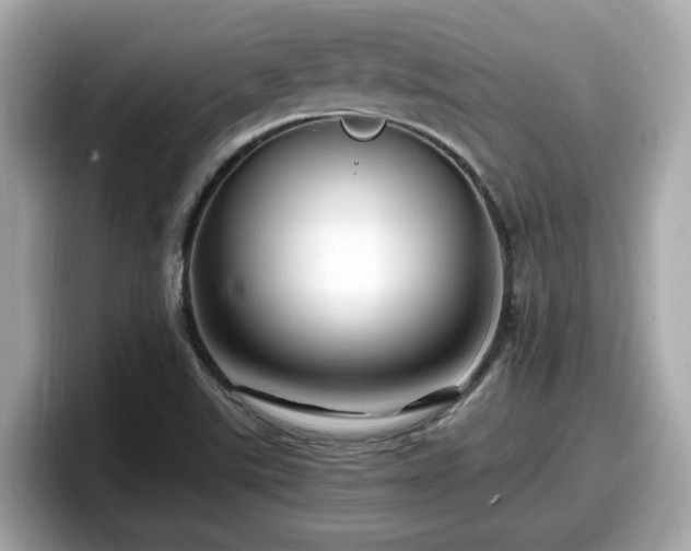 X0000098081507200804110932