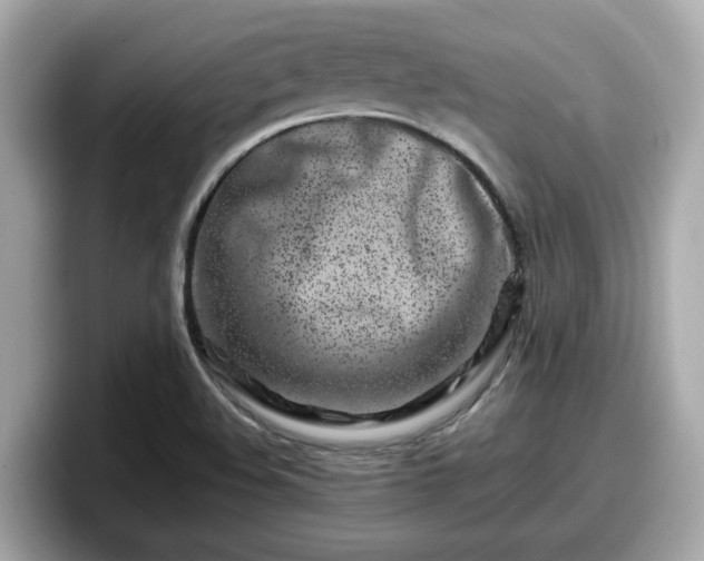 X0000098081508200804110932