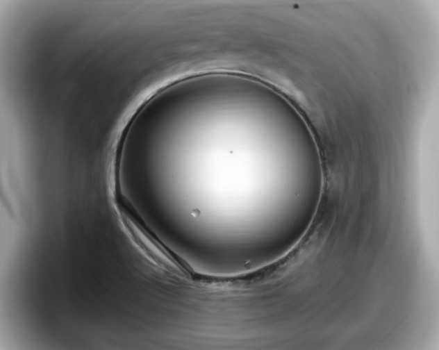 X0000098081512200804110932