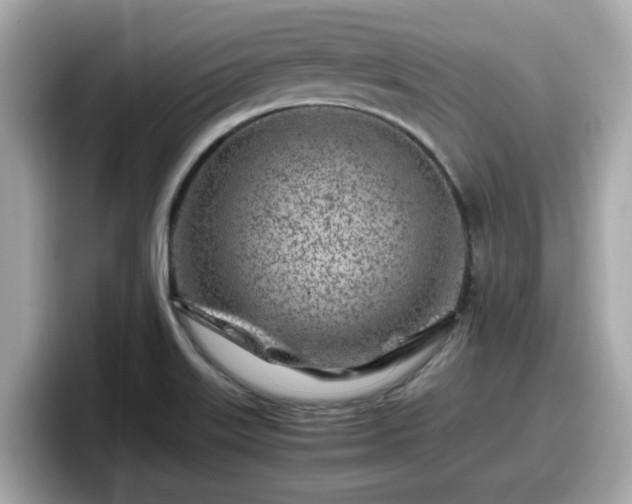 X0000098081515200804110932