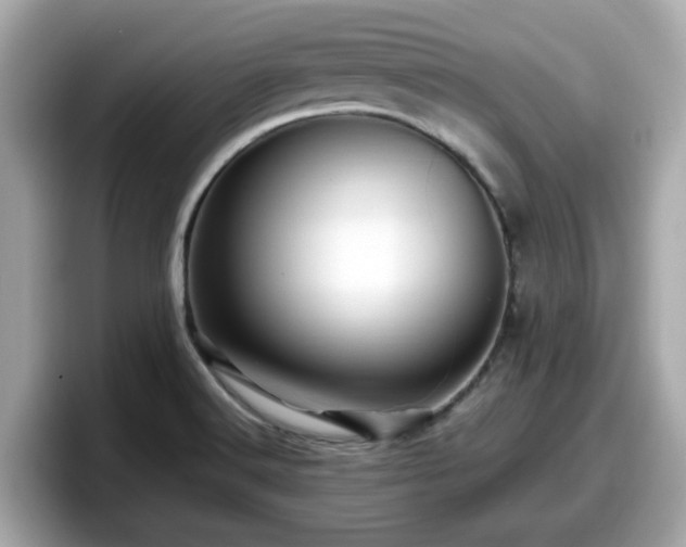 X0000098081516200804110932