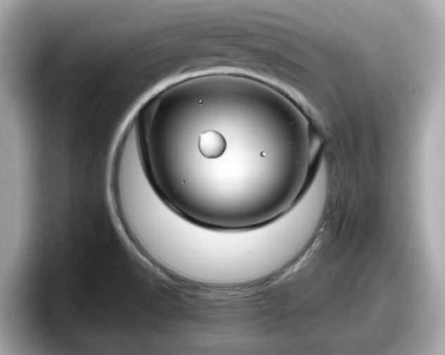 X0000098081518200804110932