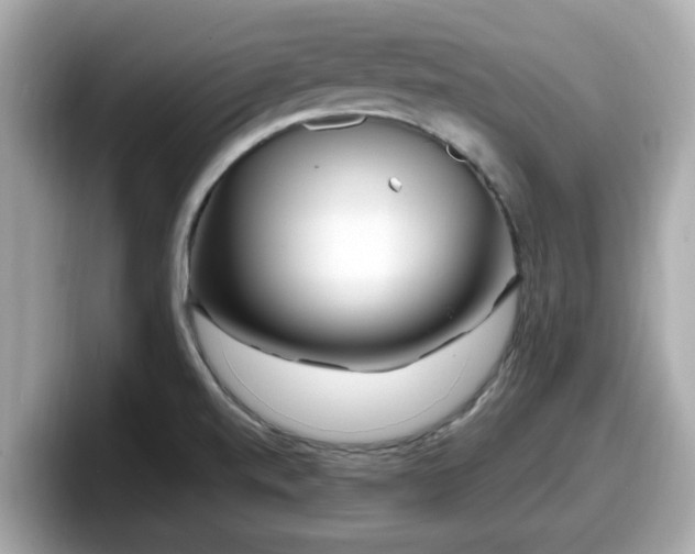 X0000098081520200804110932