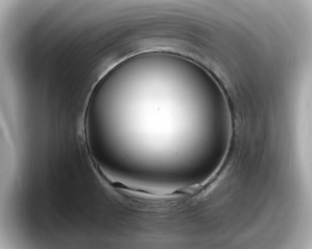 X0000098081521200804110932