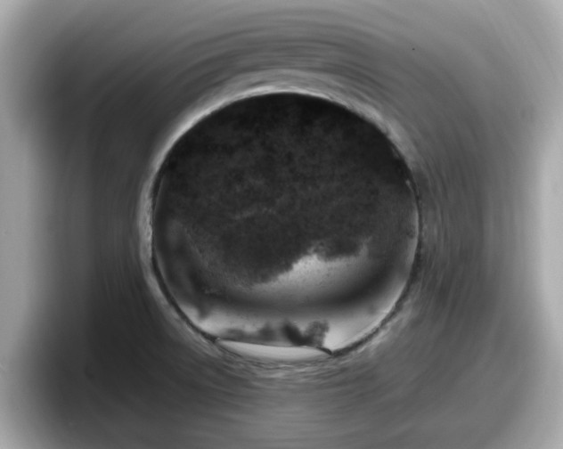 X0000098081522200804110932