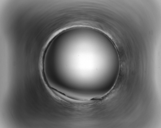 X0000098081523200804110932