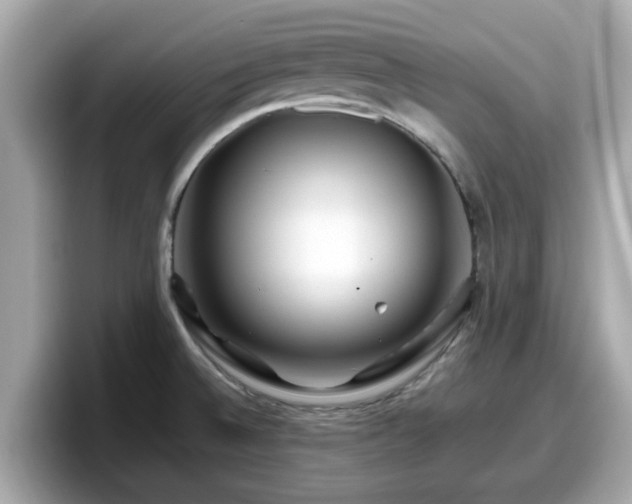 X0000098081524200804110932