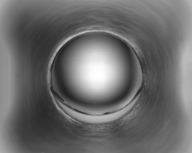 X0000098081527200804110932