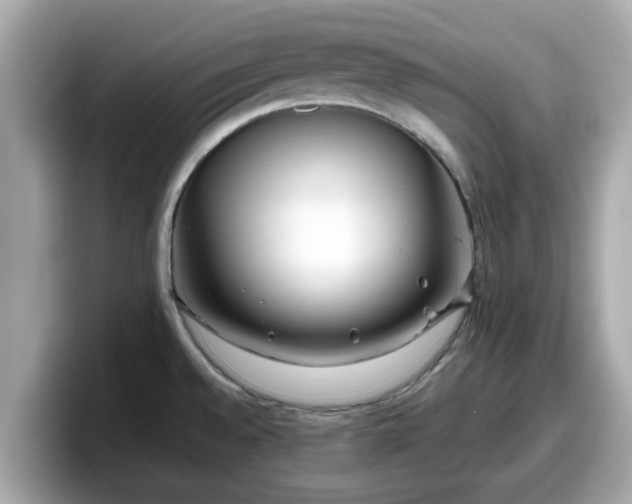 X0000098081528200804110932