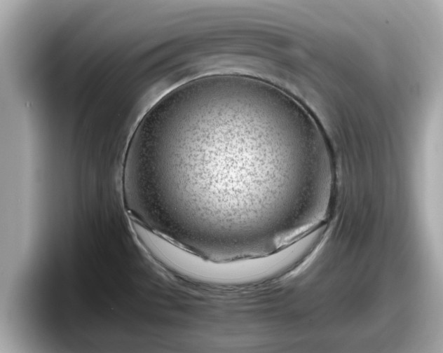 X0000098081529200804110932