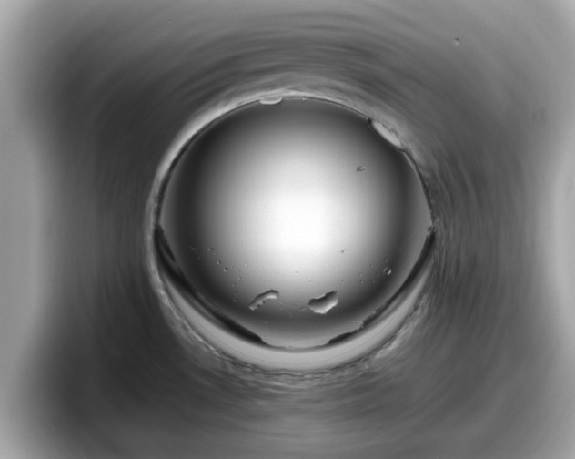 X0000098081530200804110932