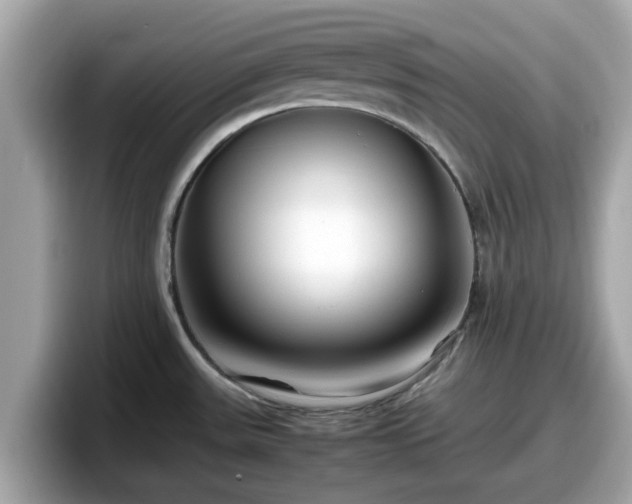 X0000098081531200804110932