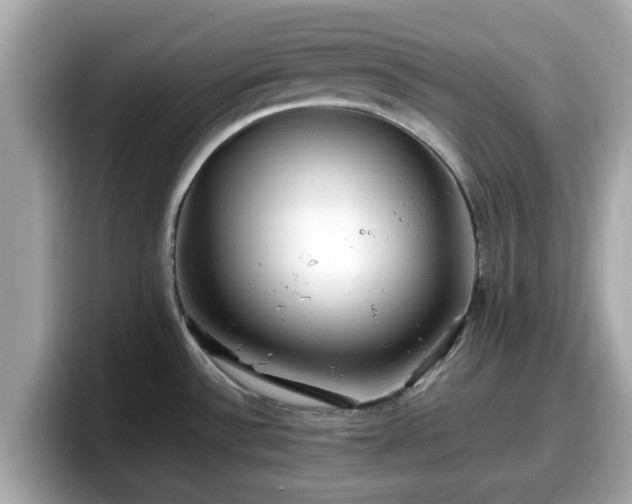 X0000098081532200804110932